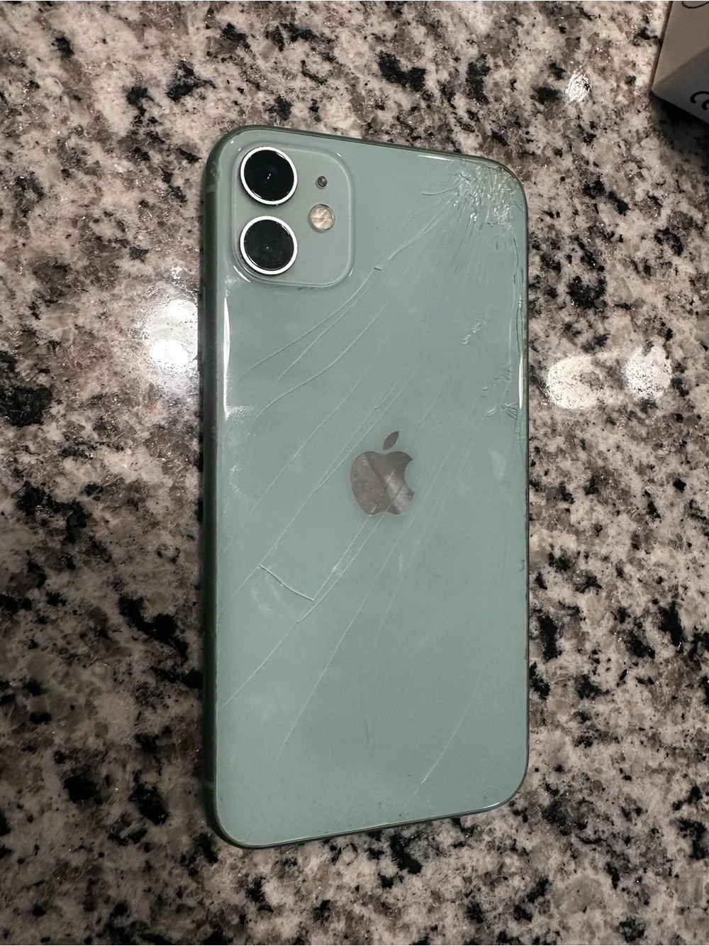 Apple iPhone 11 Mint Green Back Panel with Dual Camera *FULLY FUNCTIONAL*